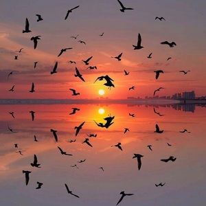 Meet your Posher, Kemberlin